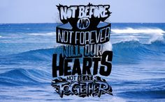 The Amity Affliction More