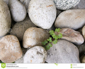 Pebbles Stones Royalty Free