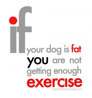 if your dog is fat by Pickupgirl
