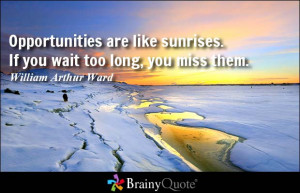 Opportunities are like sunrises. If you wait too long, you miss them ...