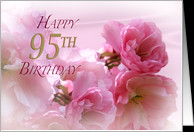 95th Birthday Cards