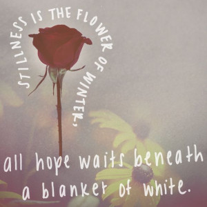 Monday Quote: A Blanket Of White