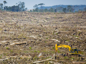 South-Asia_bio_loss-quote01