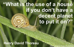 quote by Thoreau from Natural Life Magazine