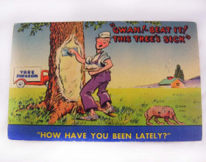 Get Well linen dog postcard tree surgeon humor vintage MWM color litho