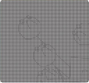 Shake Your Head To See The Picture!!!!