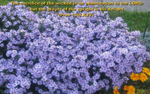 Inspirational Wallpapers Bible Verses Flowers Iii New