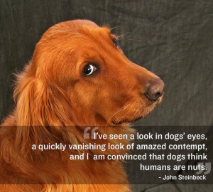 21 Great Quotes About Pets