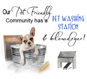 Pet Washing Station w/ Blowdryer