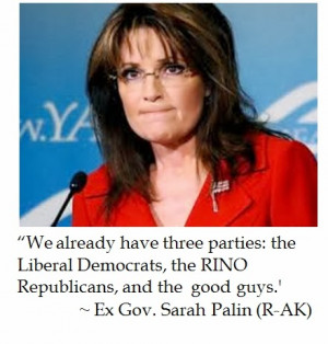 Sarah Palin on Politics