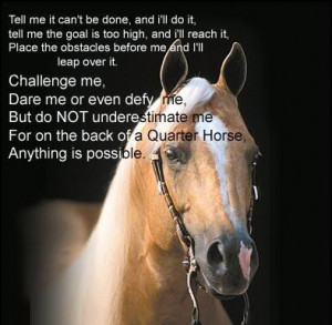 quotes about your horse