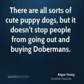 ... dogs, but it doesn't stop people from going out and buying Dobermans