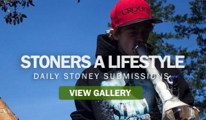 ... likes stoners a lifestyle stoner images stonerdays continues