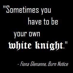 Fiona Glenanne, Burn Notice