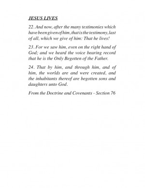 Doctrine and Covenants - 76: 22-24