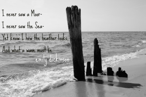 Sea- Emily Dickinson quote