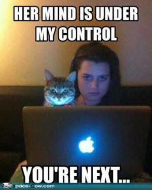 Cat+mind+control+funny+people+animals+pics.jpg#funny%20cats%20who ...