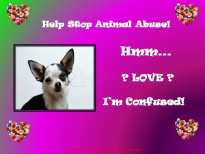 Help Stop Animal Abuse! Hmm ! Love ! I’m Confused!