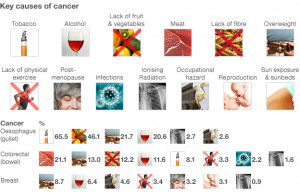Known causes of breast cancer include radiation exposure, alcoholic ...