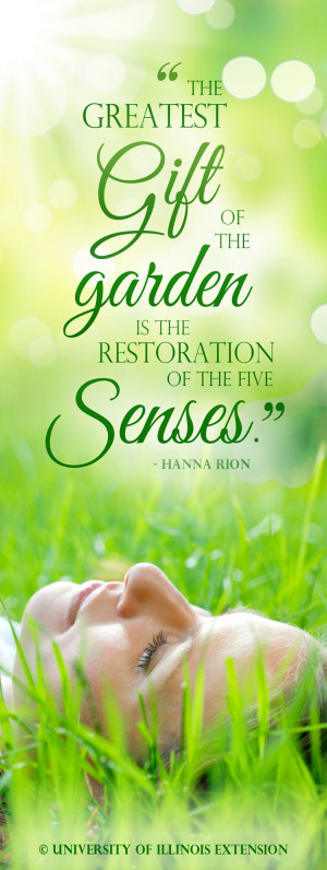 ... is the restoration of the five senses.