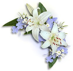 Read Little More About What