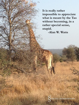 Three Great Alan W. Watts Quotes