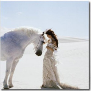 about book author dreams , we often think of writing the next great ...