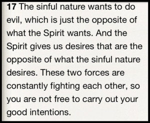 Sinful nature