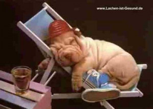 Quote About Dog Ownership