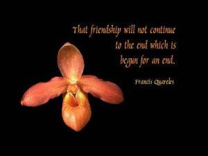 30 Friendship Quotes For Your Friends