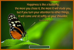 Butterfly Quotes Comment Codes for Friendster & Tagged