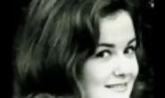 More of quotes gallery for Shelley Fabares's quotes