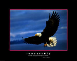 ... Leadership Motivational Eagle Photography Art Prints – Eagles in