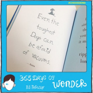 Wonder_365_Polaroid_2