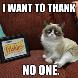 Grumpy Cat don't want to thank any one