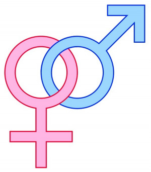 gender symbols male female signs11 262x300 Sex selective abortions in ...