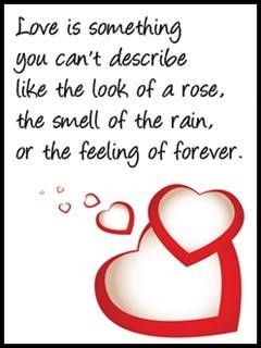 Love is something you can't describe like the look of a rose, the ...