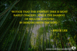 ... Notice-stiffest-tree-cracked-bamboo-willow-survives-bending-wind-quote