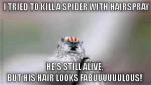 tried to kill a spider with hairspray…