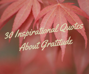 30 Inspirational Quotes About Gratitude