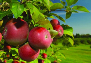 Inspirational Quotes