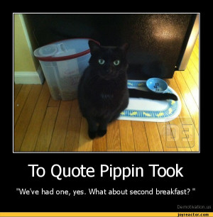 To Quote Pippin Took