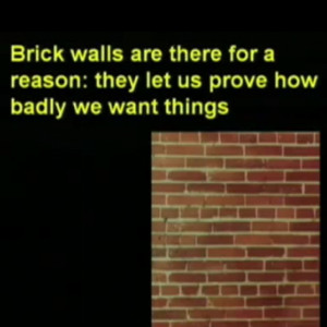 have had a ton of brick walls lately.
