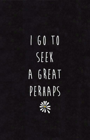 John Green, Looking For Alaska
