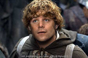 Go Back > Gallery For > Samwise Gamgee Quotes