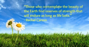 ... day quotes global earth day 2014 good earth day quotes happy earth day