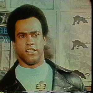 Huey Newton The black panther party in