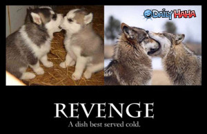 Revenge_Served_Cold_Pic