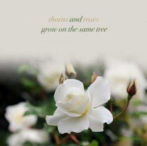 Inspirational Quotes