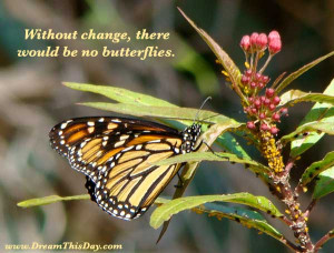 Without change , there would be no butterflies .
